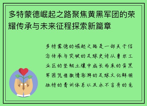 多特蒙德崛起之路聚焦黄黑军团的荣耀传承与未来征程探索新篇章 多特蒙德崛起之路聚焦黄黑军团的荣耀传承与未来征程探索新篇章